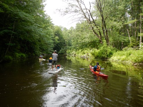 Stand up paddle boarding on the Stroudwater River.